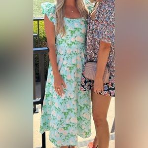 Hill house dress- worn once size Small